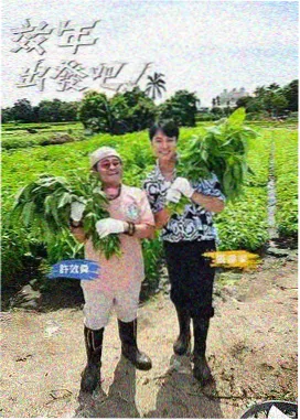 悬疑推理 影视大全